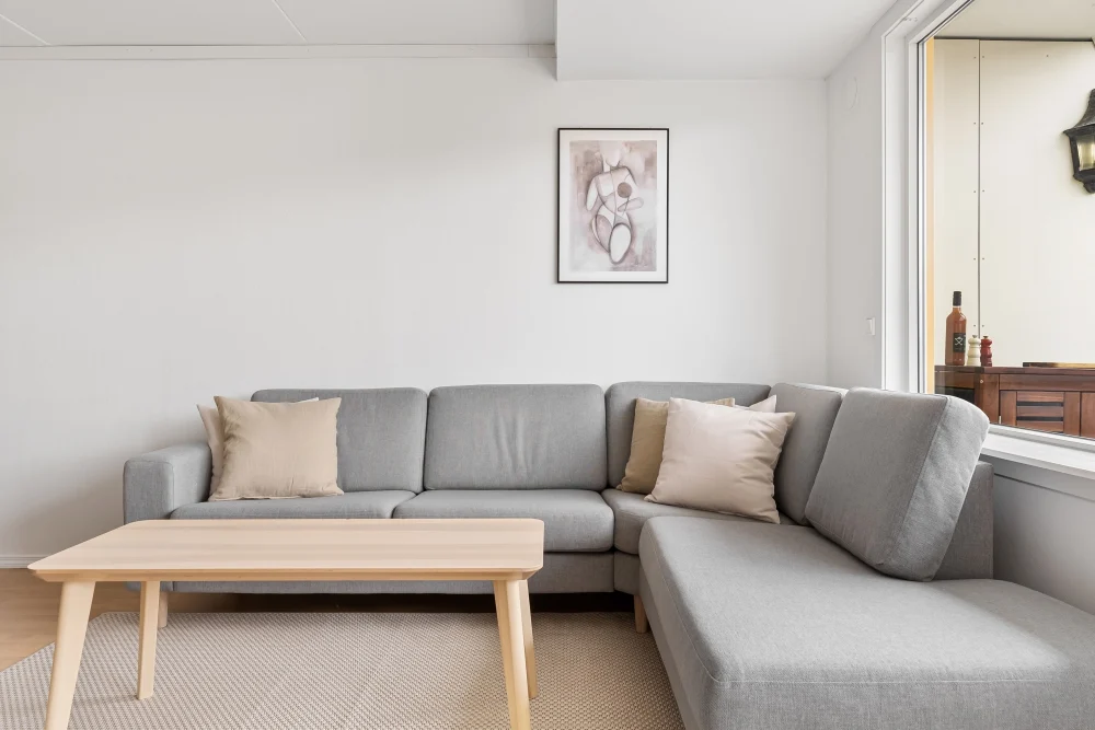 Residential sofa and furnishings